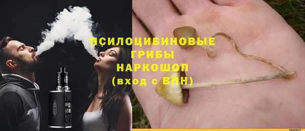 ешки Красноперекопск