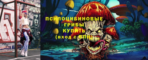 дживик Краснослободск