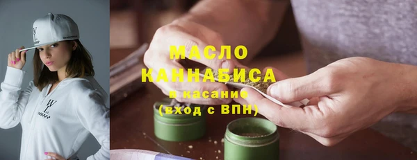 дживик Краснослободск