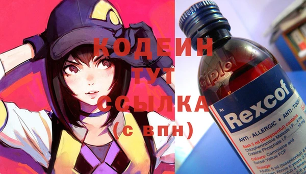 дживик Краснослободск