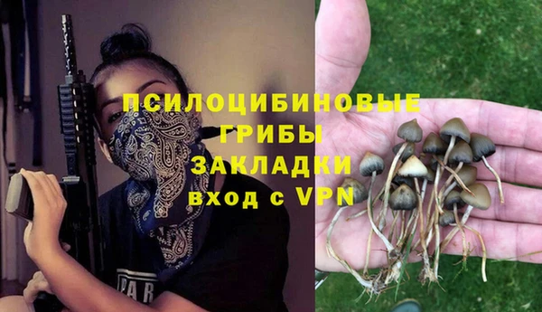 дживик Краснослободск