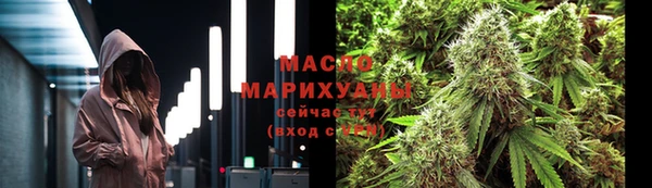 дживик Краснослободск