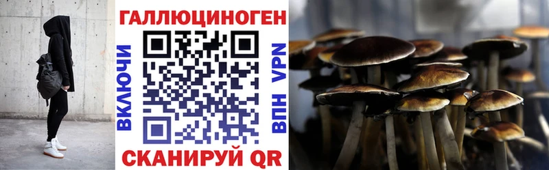 Купить где  Хотьково  Псилоцибиновые грибы мицелий 